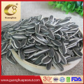 Best Quality Sunflower Seed